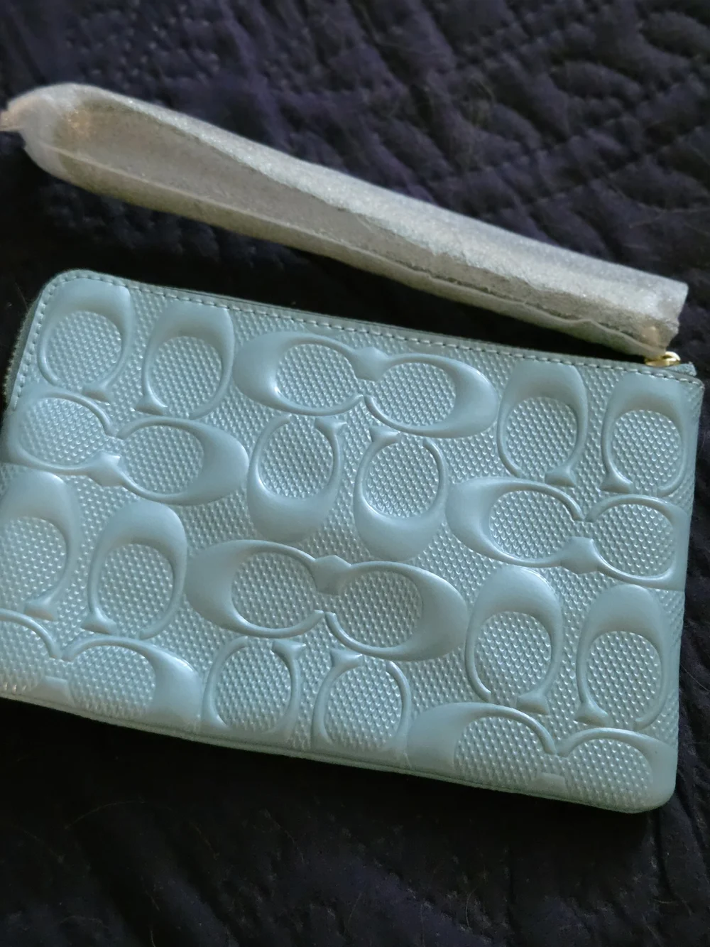 Coach Embossed Signature Leather Wristlet Pouch in Light Blue/ Cream